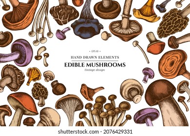 Colored elements design with oyster mushroom, champignon, honey agaric, shiitake, porcini, morel mushroom, chanterelle, aspen mushroom, enoki , shimeji, black chanterelle, red pine mushroom