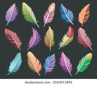 Colored feather collection. Feathers isolated on background vector illustration