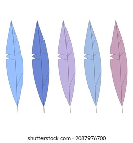 Colored feather icon set. Pastel tones. Logo concept. Modern art. Cartoon design. Vector illustration. Stock image.