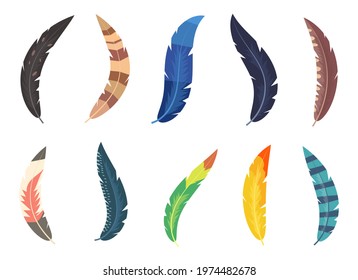 Colored feather set vector design illustration isoalted on white background
