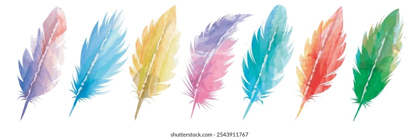 Colored feather set. Watercolor sketch feather silhouettes set isolated vector illustration