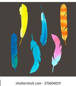 colored feathers