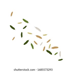 Colored feathers Design for Goods for Pets.  Vector Confetti Background.
