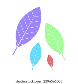 colored feathers. Ethnic style. Vector illustration.