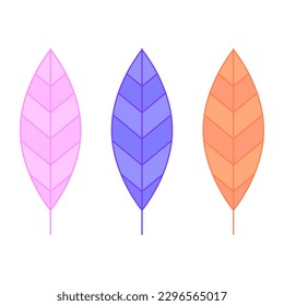 colored feathers. Ethnic style. Vector illustration.