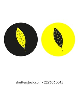 colored feathers. Ethnic style. Vector illustration.