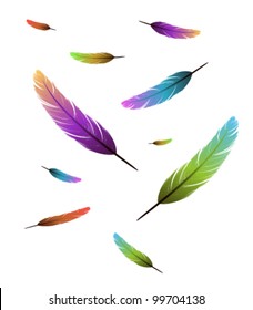 Colored feathers falling background