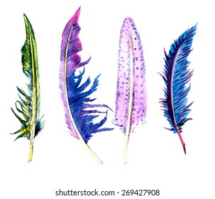 Colored feathers. Hand Drawn Vector Watercolor Illustration. Isolated on white background.
