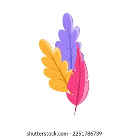 colored feathers icon flat isolated