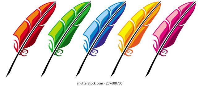 Colored feathers isolated on a white background