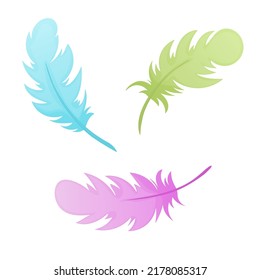 Colored feathers on white background. Vector illustration