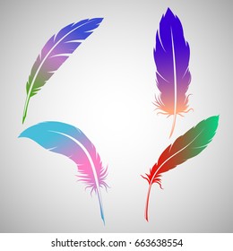 Colored feathers on white background, vector illustration
