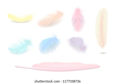 Colored Feathers Set