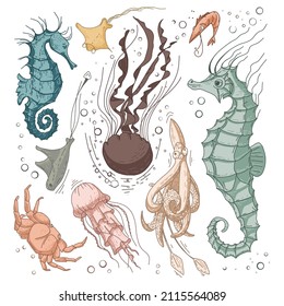 Colored fish set. Sea life set for background and design. Set of colorfu hand drawn clams for design. Set of isolated marine inhabitants on a white background. Decorative elements .