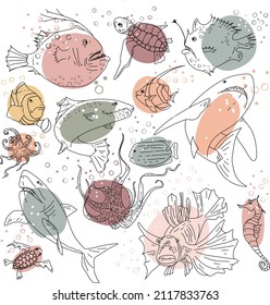 Colored fish set. Sea life set for background and design. Set of  hand drawn clams for design. Set of isolated marine inhabitants on a white background. Decorative elements and underwater concept.
