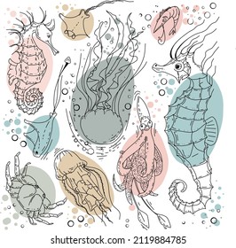Colored fish set. Sea life set for background and design. Set of hand drawn clams for design. Set of isolated marine inhabitants on a white background. Decorative elements and underwater concept.