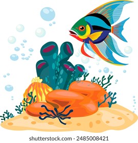 Colored fish swim on the seabed