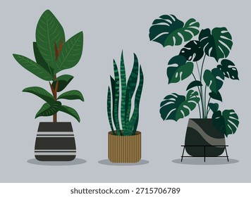 Colored flat classic sketch illustration of decorative houseplant background