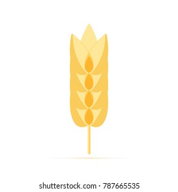 Colored flat icon, vector design with shadow. Spikelet of wheat with open grain. Illustration for wheat cereal, natural product, eco food. Symbol of whole grain