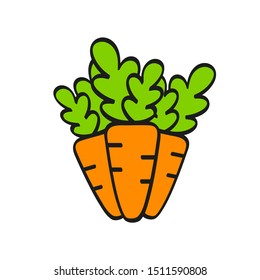 Colored flat line vector illustration. 
Carrot.