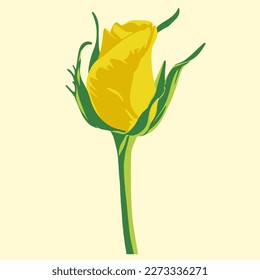 Colored flat vector illustration of  rose. For cosmetic package design, medicinal herb, treating, half care, prints. Design element  for fabric, textile, clothing, wrapping paper, wallpaper