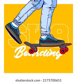 Colored flat vector skateboard illustration, skateboard vector line art isolated