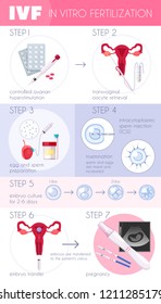 Colored Flat In Vitro Fertilization IVF  Infographics With Steps For Pregnancy Progress Vector Illustration