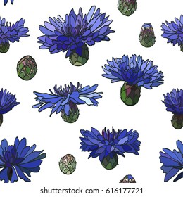 Colored floral seamless pattern with cornflowers. Blue isolated hand drawn cornflowers with dark stroke on white background. Decorative stylized summertime pattern.