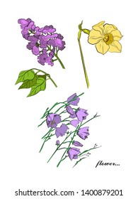 Colored flower graphic set with narcissus, lilac and bluebells. Beautiful element for your romantic design.