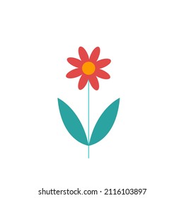 Colored flower isolated, vector flat illustration. Chamomile.