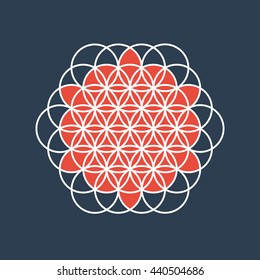 colored flower of life sacred geometry vector illustration