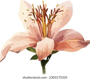 Colored Flower Vector, Print, Illustration