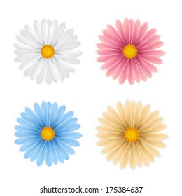 Colored flowers