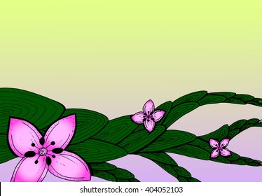 colored flowers