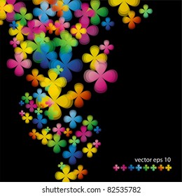 colored flowers on a black background