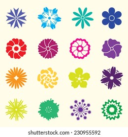 colored flowers on white background