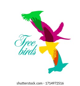 The colored flying birds logo. Vector illustration