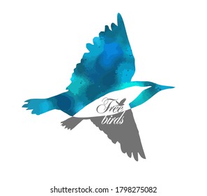The colored flying birds logo. Vector illustration