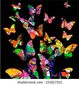 colored flying butterflies
