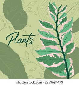 Fondo follaje coloreado con hojas diferentes Vector