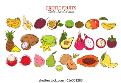 Colored fresh natural exotic fruits set with organic tropical products in hand drawn style isolated vector illustration