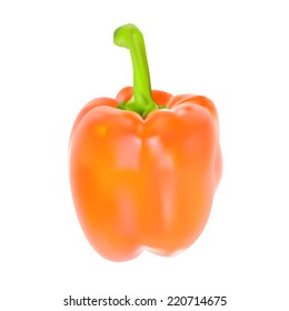 Colored Fresh Sweet Pepper Vector Isolated on White Background. EPS10