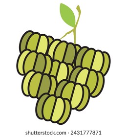 Farbige Frucht-Ikone Vektor-Illustration