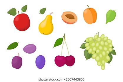 Colored fruit set isolated on a white background. Fruits and green leaves. Vector Illustration, icon. Apple, pear, apricot, plum, cherry, grape.