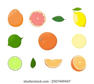 Colored fruit set isolated on a white background. Citrus fruits and green leaves, collection. Vector Illustration, icon. Lemon, lime, grapefruit, orange fruit.