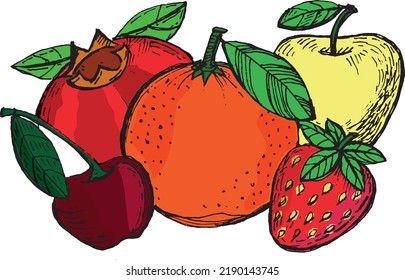 Colored fruits hand drawn. Vector in black and colored outlines. Isolated on white background.