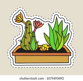 Colored funny cute cartoon cactus patch with black contour. Cactuses with flower in pot. Mexican plant. Design element for banner, tag, label, sticker, icon, badge, t-shirt. Vector illustration.