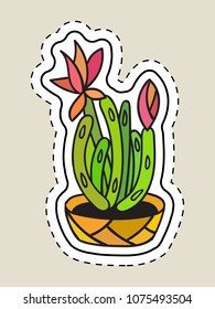 Colored funny cute cartoon cactus patch with black contour. Cactus with flower in pot. Mexican plant. Design element for banner, tag, label, sticker, icon, badge, t-shirt. Vector illustration.