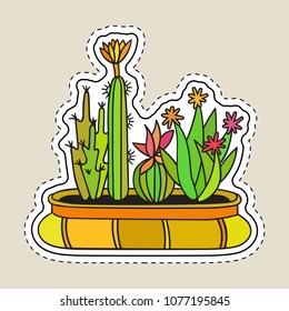 Colored funny cute cartoon cactus patch with black contour. Cactuses with flower in pot. Mexican plant. Design element for banner, tag, label, sticker, icon, badge, t-shirt. Vector illustration.