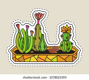 Colored funny cute cartoon cactus patch with black contour. Cactuses with flower in pot. Mexican plant. Design element for banner, tag, label, sticker, icon, badge, t-shirt. Vector illustration.
